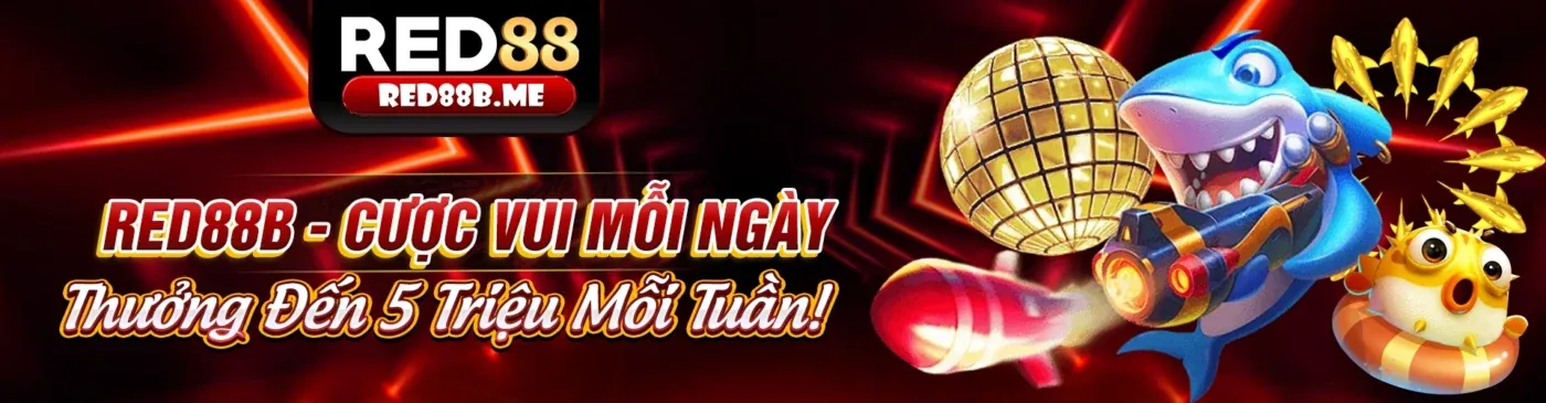 Ứng dụng m.win55 trên điện thoại di động